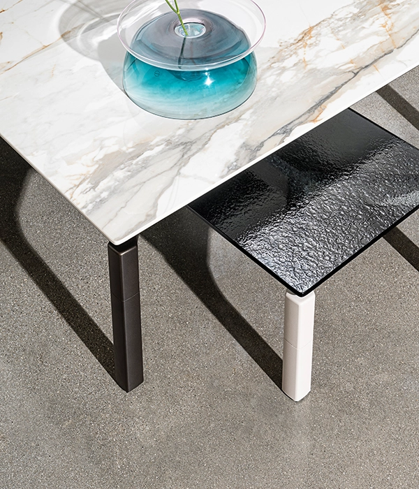 BONE COFFEE TABLE gallery1